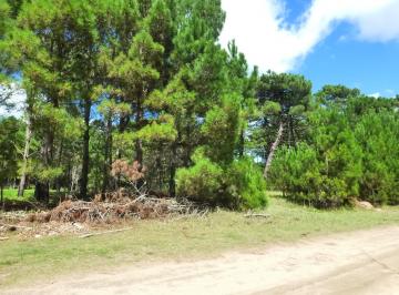 Terreno , Pinamar · Lote en Pinamar. Barrio Alamos II. Calle del Espartillo.