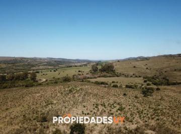 Foto1 · Campoen Venta en Las Sierras de Maldonado