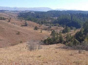 Terreno · 29762m² - Fortuna Inmobiliaria · En Venta 2 Hectáreas 9762 m² en San Miguel de Los Rios - Tlc0743