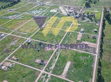 Terreno · 8000m² · Terreno, Lote Chacra, Corredor Verde Canning - San Vicente.
