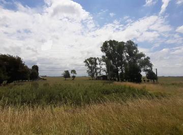 GNP-GNP-778_2 · Terreno en Venta en Lezama - Provincia de Buenos Aires