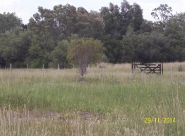 Terreno · 478m² · Lote en Venta Balneario Reta