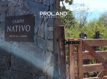 Campo , Cruz del Eje · Campo Nativo - Escritura Inmediata