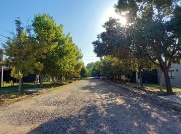 Terreno , Chacras de Coria · Barrio Las Catalpas Calle Viamonte Chacras de Coria Lujan de Cuyo