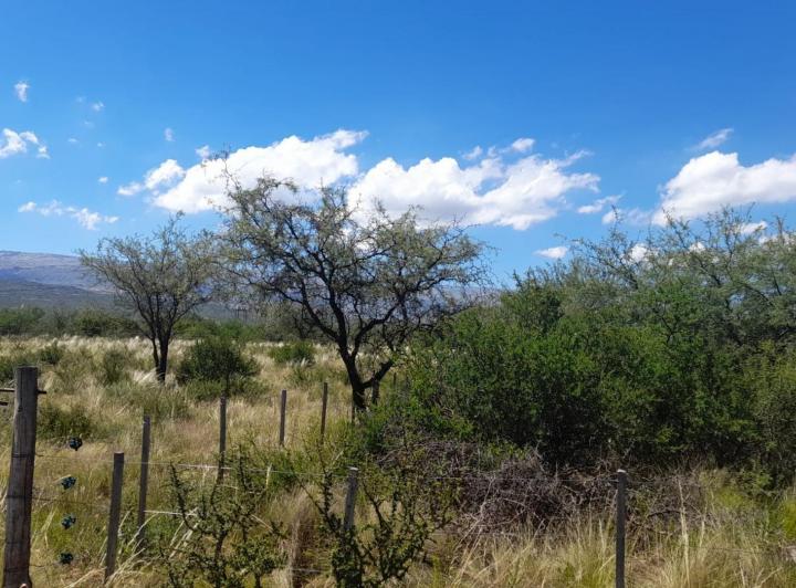 Terreno · 900m²