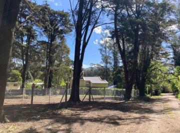 CRP-CRP-2031_2 · Lote. | Los Lules Al 1500