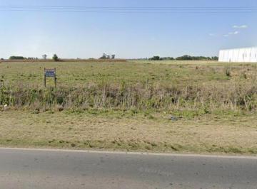 Campo · 4m² · Campo en Baigorria
