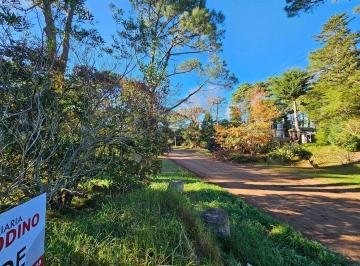 SRD-SRD-467_2 · Lote Residencial en Barrio Norte