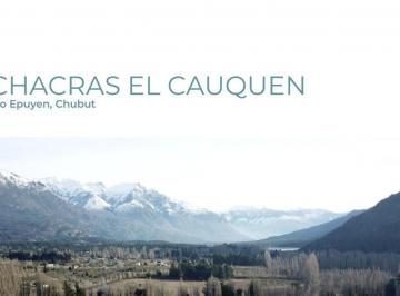 Campo · 300000m² · Chacra - Lago Puelo