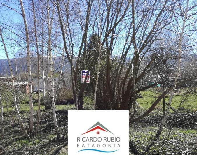 Terreno · 300m²