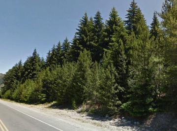 Campo · 10000m² · Chacra - Cerro Radal