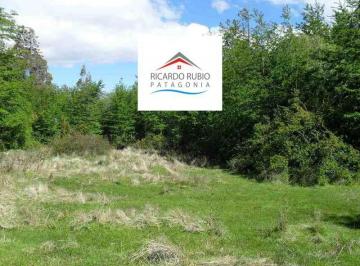 Campo · 200000m² · Chacra - El Cohiue