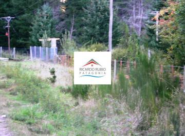 Campo · 10000m² · Chacra - Cerro Radal