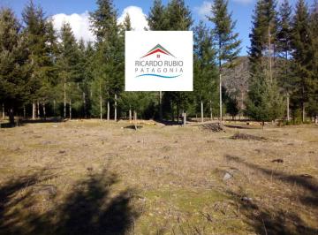 Terreno · 2500m² · Terreno - Cerro Radal