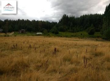 Campo · 40000m² · Chacra - Mallin Ahogado