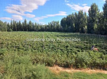 Campo · 53000m² · Chacra en Venta en Villa Manzano, Provincia de Rio Negro