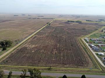 Campo · 640000m² · Coronel Vidal - 64 Ha