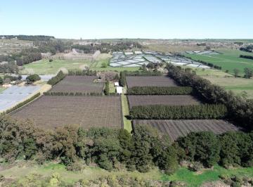 Campo · 300m² · Mar del Plata - Sierra de Los Padres - 10 Ha