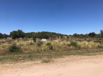 Terreno , San Alberto · Venta de Lote en Panaholma. Cordoba