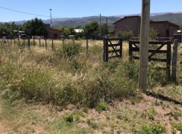 Terreno , San Alberto · Venta de Lote Panaholma Cordoba