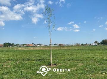 Terreno · 601m² · Lote en Venta en Village Joven, Bella Vista