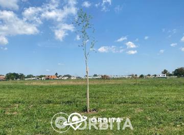 Terreno · 601m² · Lote en Venta en Village Joven, Bella Vista