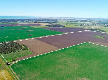 Campo · 920000ha · Mar del Plata - Camet - 92 Ha Agrícola Clase II