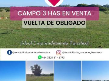 Campo · 21500m² · Campo - Vuelta de Obligado - San Pedro