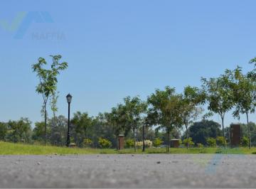 Terreno · 600m² · Terreno en San Pablo Chico