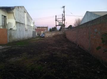 Terreno de 1 ambiente Alquiler $ 11.111 · Alquilo Terreno 100 X 50 Alambrado