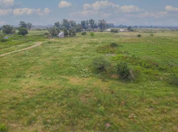 Terreno · 10000m² · Terreno en Hostal del Sol de 1 Hectárea