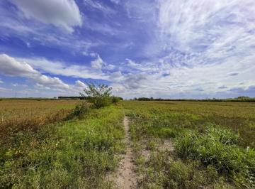 Terreno , Pérez · Campo de 60.000 m² en Perez