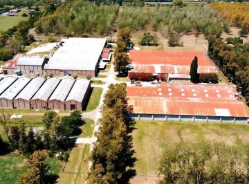 Bodega-Galpón , Luján · Alquiler Galpón 2000 m² - Cortinez - Luján