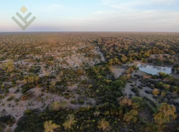 Campo · 21040000ha · Venta Campo Ganadero en Morillo Rivadavia