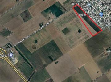Terreno · 110000m² · Terreno - Fighiera