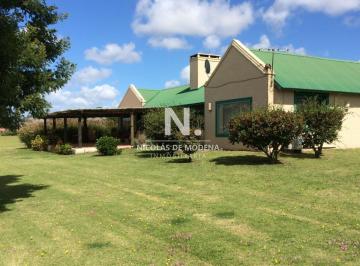 Foto1 · Chacra en Venta en La Pataia - Punta Ballena
