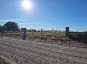 Terreno , San Rafael · Gold Group Vende Extensa Finca / Tiburcio Benegas 1700 (A Pasos de Ruta 144)