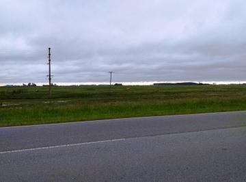 Campo , Punta Indio · Campo en Venta Punta Indio - 93 Hectáreas Sobre Ruta