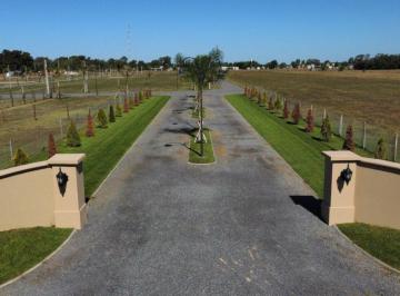 Gran Loteo ubicado en la hermosa Localidad de Loma Verde, Partido de General Paz · Lotes de 310 a 330 m². Financiación. Sin Expensas. "La Soñada". Loma Verde.