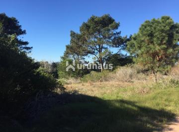 Foto1 · Venta Terreno Arenas de Jose Ignacio Calle Comercial