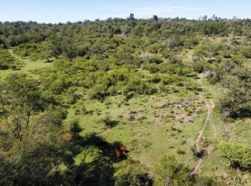 Campo · 1250000ha · Real Oportunidad | Campo de 125 Has en Cerro Pelado | Vista Al Lago | Valle de Calamuchita