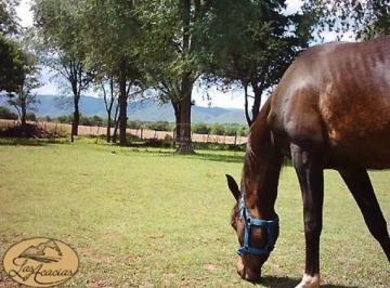 Campo · 20000m² · Estancia Las Acacias en Venta | Valle de Calamuchita
