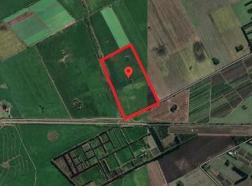 Campo · 210000m² · Campo de 21 Ha / Camino Real Espinillo - Gobernador Castro, a 4 Km de Acceso Mansilla