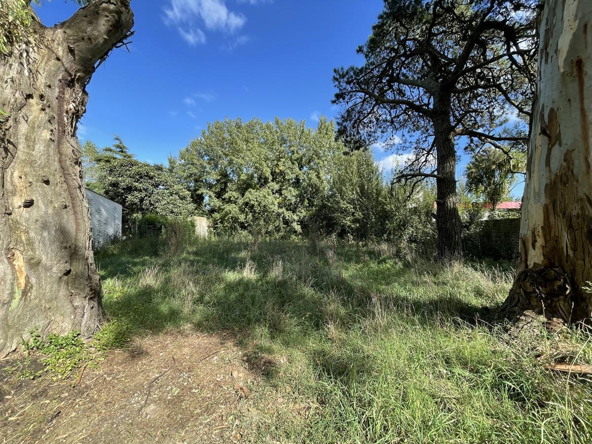 Terreno 596m² en barrio Jardín La Florida, posibilidad de venta por separado