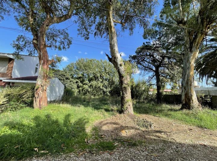 Terreno · 299m²