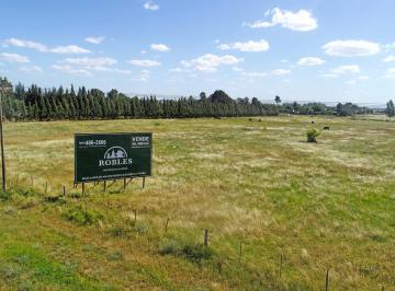 Campo , Chascomús · Chascomus - 4.5 Has Sobre Autovía 2. Ideal Desarrollo