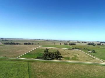 Campo · 50000ha · Las Armas - 5 Has Sobre Ruta 74