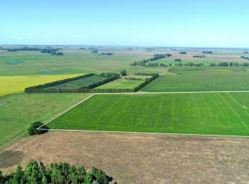 Campo · 190000ha · Mar Chiquita - 19 Ha Agricola