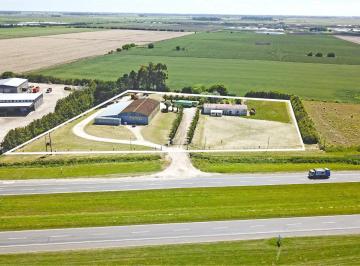 Campo · 1300ha · Mar del Plata. Predio Comercial Industrial Sobre Autovia.