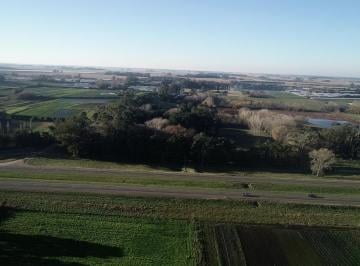 Campo · 43000m² · Mar del Plata - 4.3 Has Sobre Ruta.